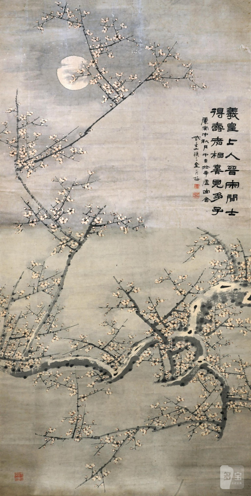    金肖梅 梅花